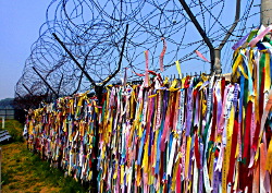 Grenzzaun bei der DMZ, Korea