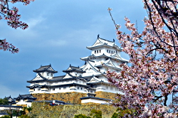 Burg Himeji zur Kirschblüte in Japan